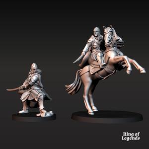 Demon' Slaughter Elf - Foot and Mounted | Bloody Elves | Fantasy | Ring of Legends