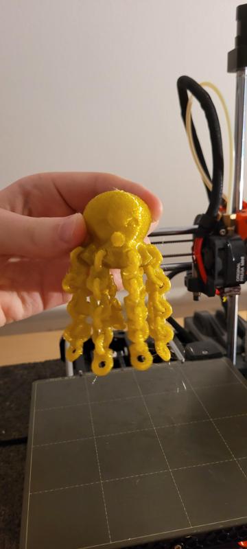 Chaintopus