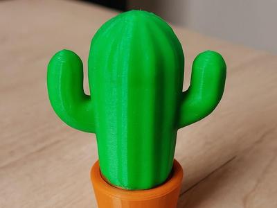 Little cactus  desk decor