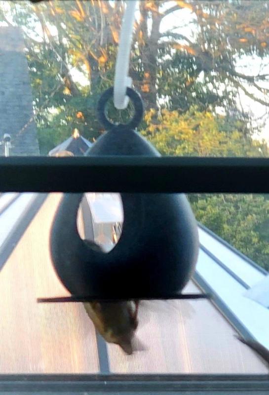 Easy print Bird Feeder