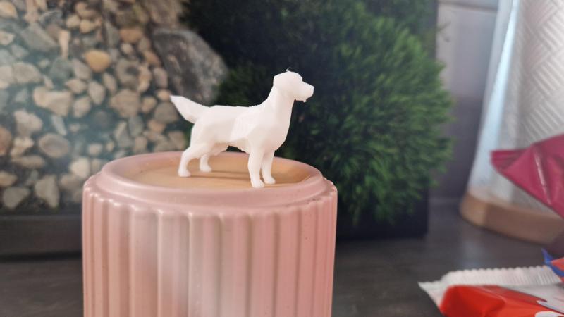 Golden retriever low poly