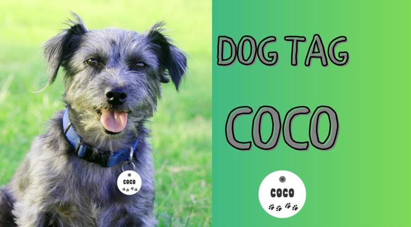 Coco Dog Tag