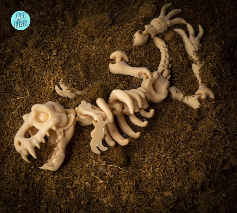 Flexi Dino Skeleton