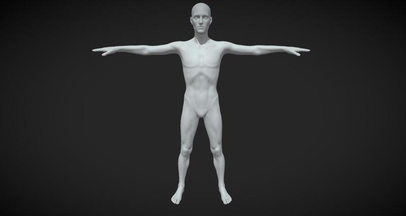 Human Body Mesh In T-Pose