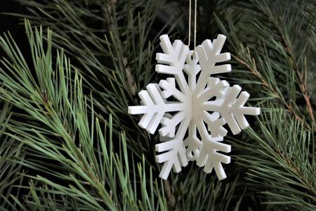 3D snowflake