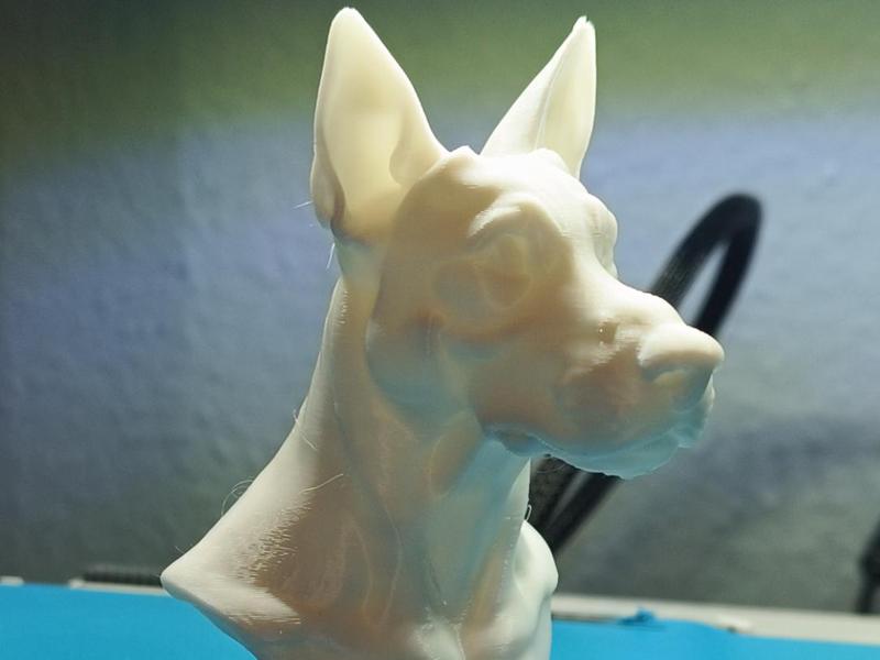 Scooby Dog Bust