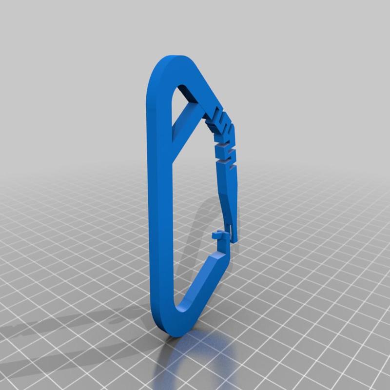Carabiner 