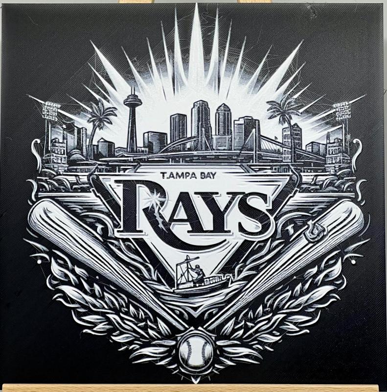 Play Ball! Tampa Bay Rays #7
