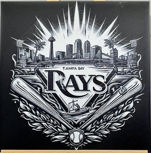 Play Ball! Tampa Bay Rays #7