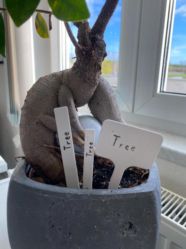 Descriptive labels for plants