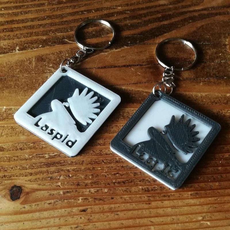 LASPID Keychains