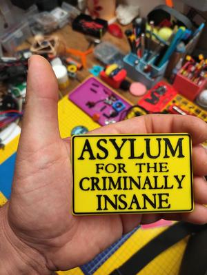 Asylum for the criminally insane
