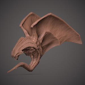 VAMPIRE DRAGON