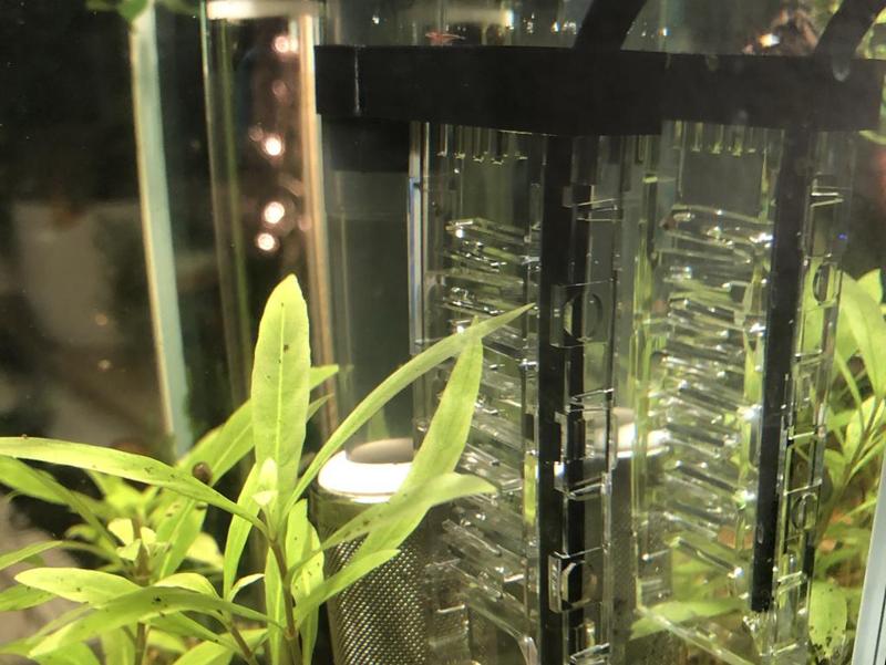 Mini/Micro Flipper to Aquaclear Adapter
