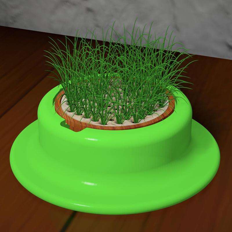 CAT GRASS MINI GARDEN