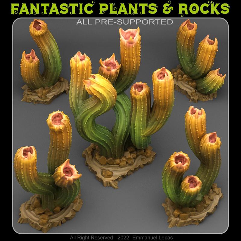 CARNIVOROUS CACTUS