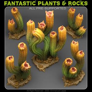 CARNIVOROUS CACTUS