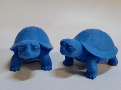 sad turtle