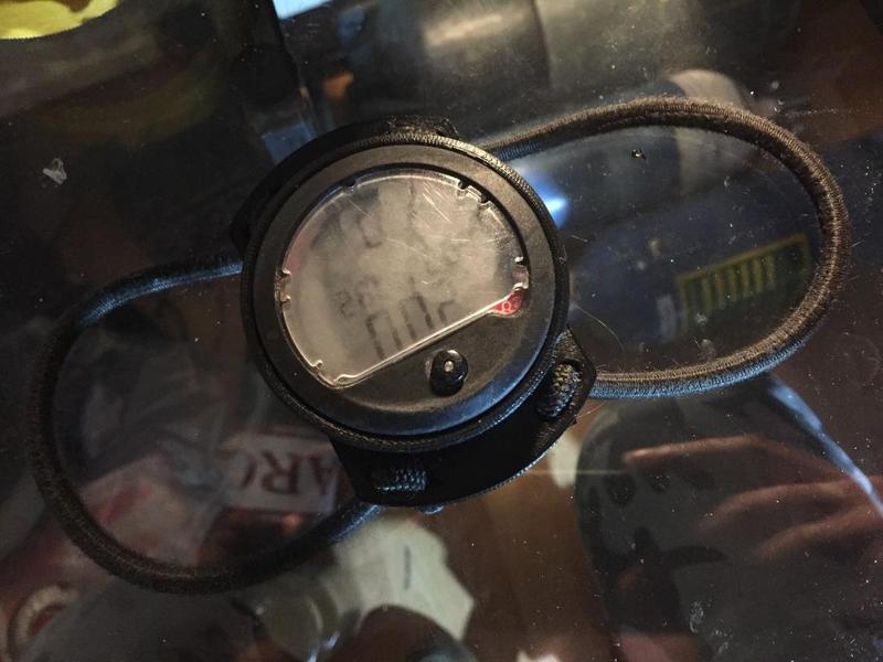 Bungeemount for Seemann XP5