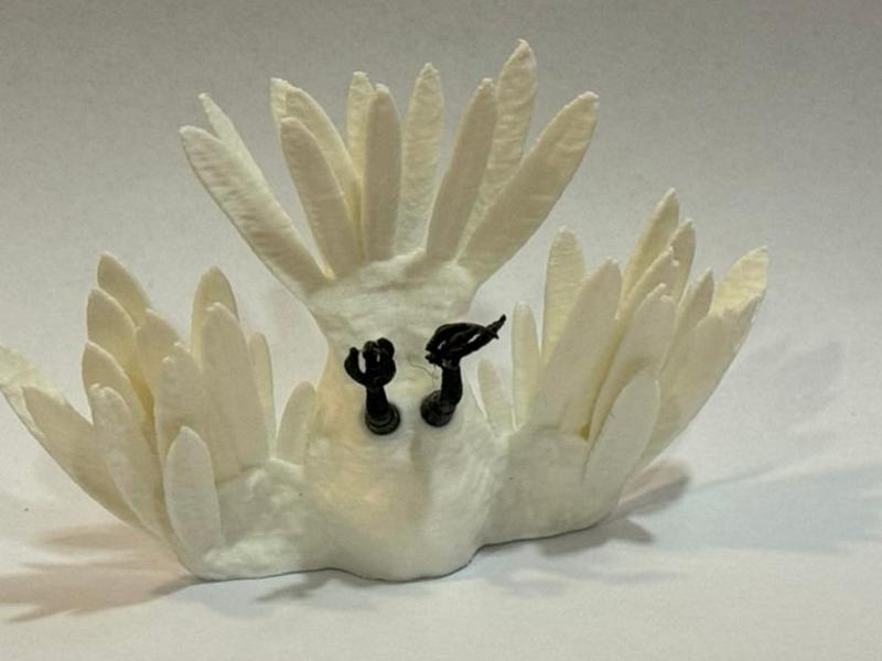 Bird Crashed Into The Wall - No Supports
