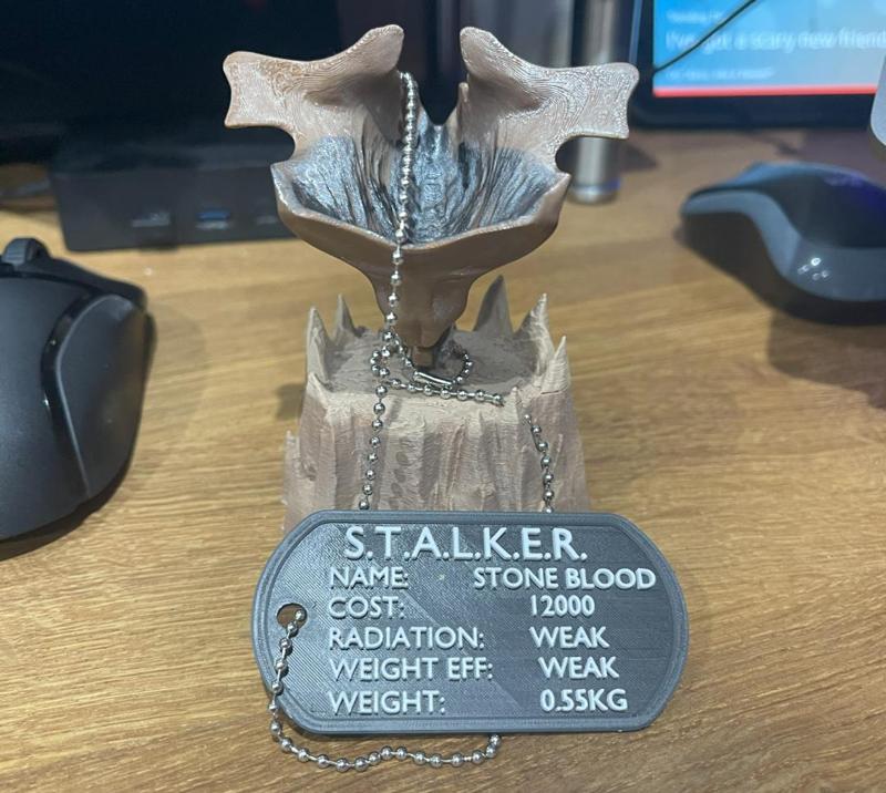 S.T.A.L.K.E.R. 2 artifact - Stone Blood
