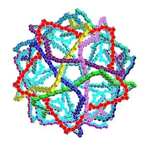 STEWART STAR DODECAHEDRAL POLYLINK 1