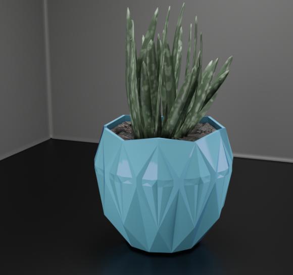 suucculent plant pot 2