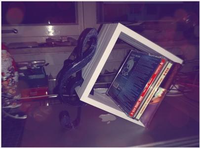 Music CD Stand - Last minute Xmas gift?