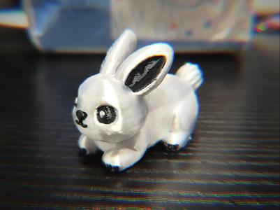 Little bunny