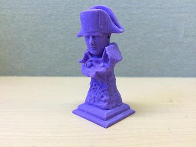 Napoleon Bonaparte Bust
