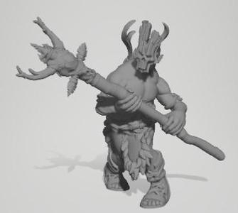 Orc Male Druid 1
