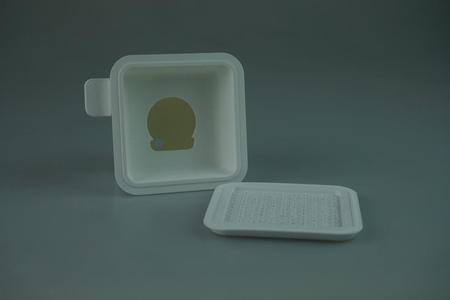 Mono Amplifier Speaker 1