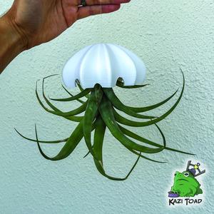 Giant Jellyfish Air Plant Holder