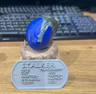 S.T.A.L.K.E.R. 2 artifact - Thunderberry