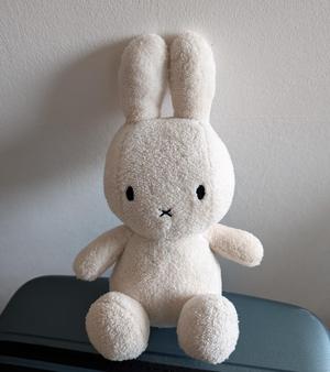 Miffy 