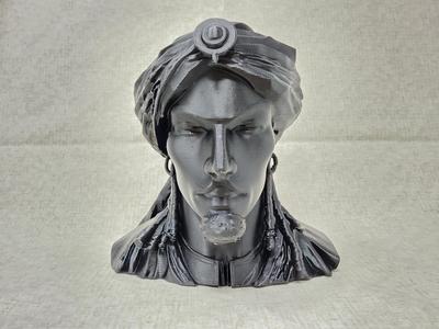 The Desert Sands Traveler 