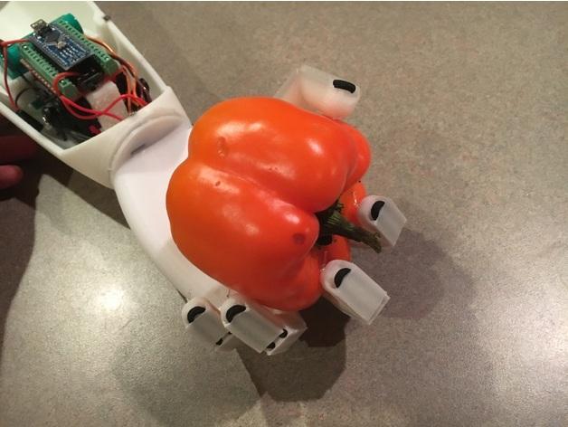 Robotic Prosthetic Hand