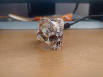 ANILLO CON CUERNOS DE CARNERO