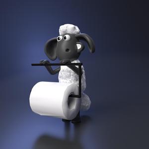 Shawn Toilet paper holder
