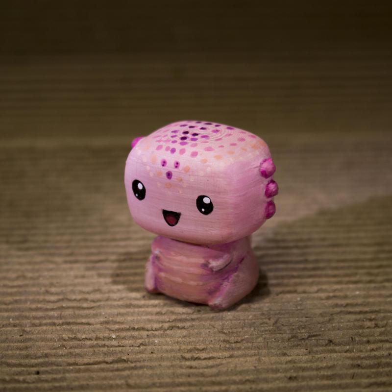 Ajolote (Ambystoma mexicanum)