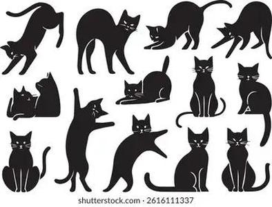 Kittens