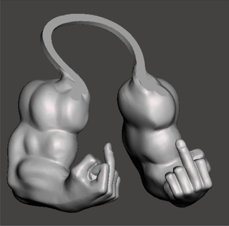 arms muscled cat middle finger raised