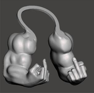 arms muscled cat middle finger raised