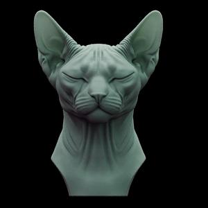 Cat Sphynx Bust