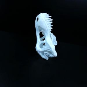 T-Rex skull improved as reptile hide