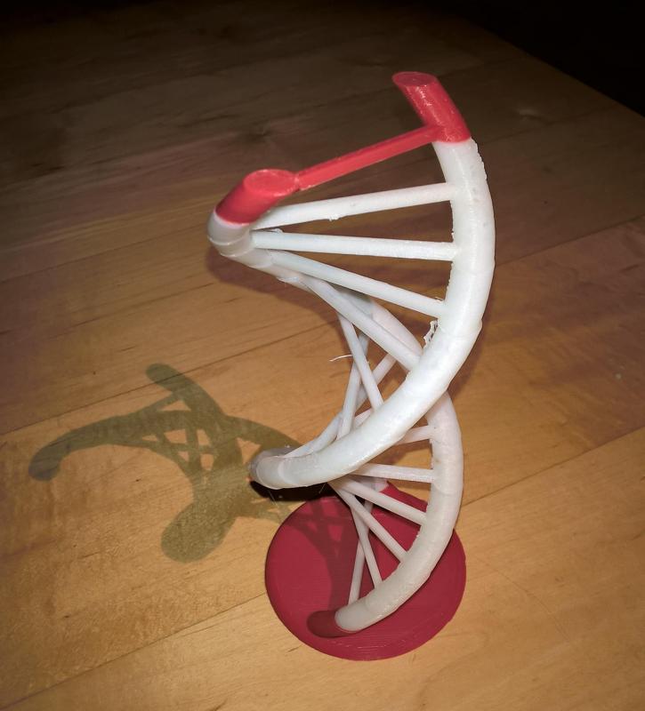 DNA helix