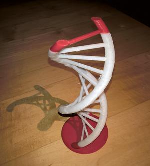 DNA helix