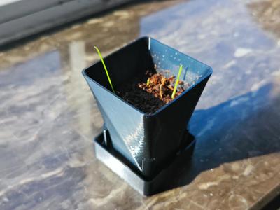Easy-to-repot Nursery Pots