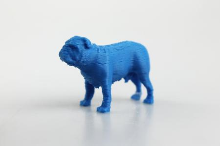 Bulldog 3D model
