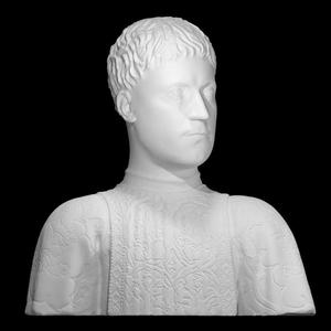 Piero di Cosimo de' Medici